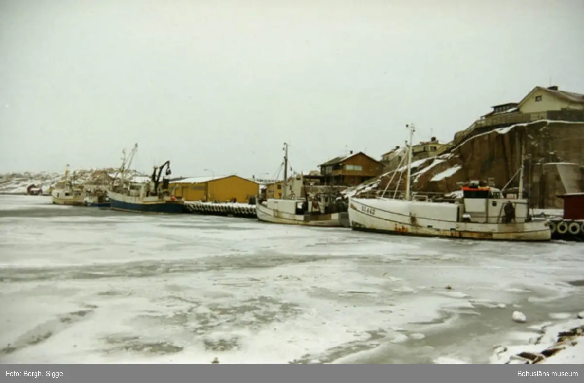 Enligt text på fotot: "Hamnen i Kungshamn mars 1994 isen ligger tjock".