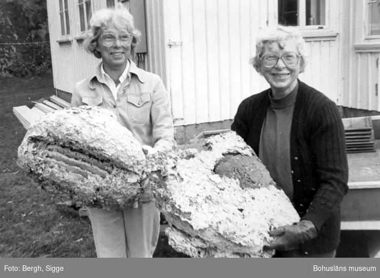 Enligt text på fotot: "Systrarna Brita Skäremo och Ingrid Rödström med getingbo från Amhults gamla skola".
