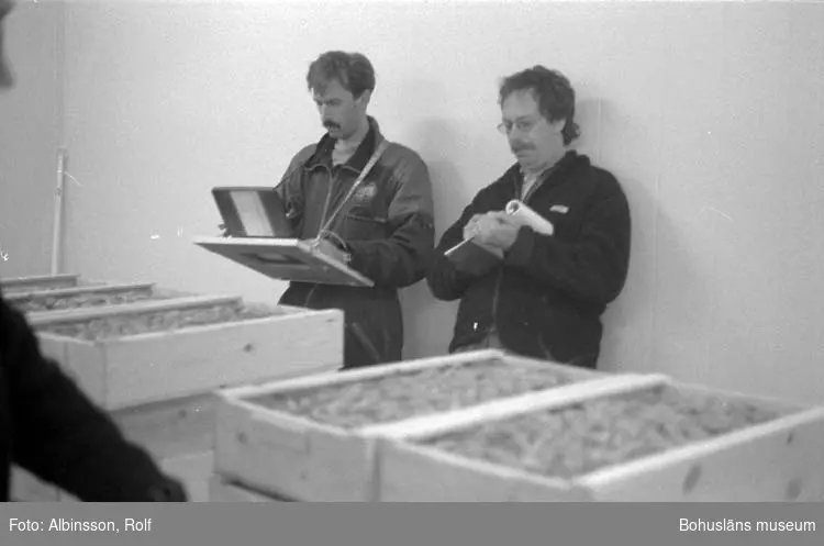 Enligt fotografens noteringar: "Fiskeauktionspersonal. Till vänster Anders Samuelsson som skriver och till höger Mats Henriksson, auktionsutropare."

Fototid: 1996-04-03.
