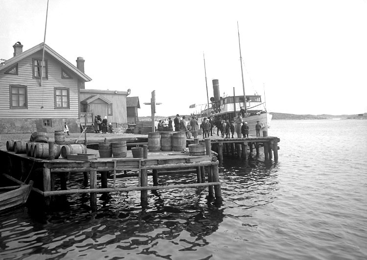 Ångfartyget ALBREKTSUND på Gullholmen 1924