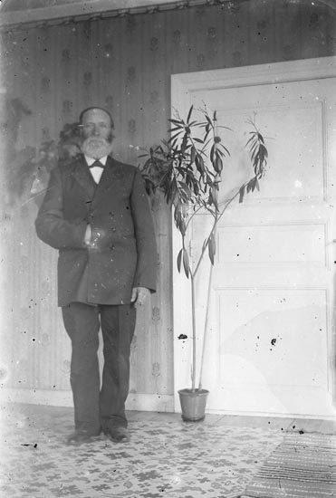 En man klädd i kostym står bredvid en dörr och en krukväxt,troligen en nerium