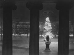 Juletreet på Universitetsplassen.