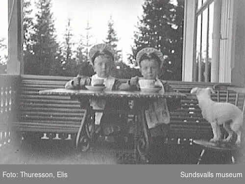 Tvillingarna Walter och Bertil Thuresson med hund på verandan till familjens sommarbostad Thurebo, Petersvik.