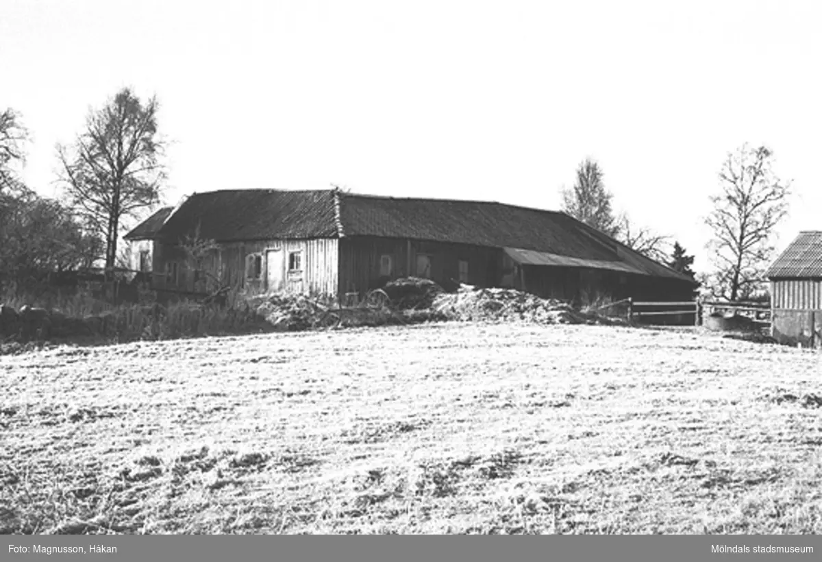 Uthus på "Alfreds gård" på Backen/Högen 2:9 i Kållered, februari 1991.