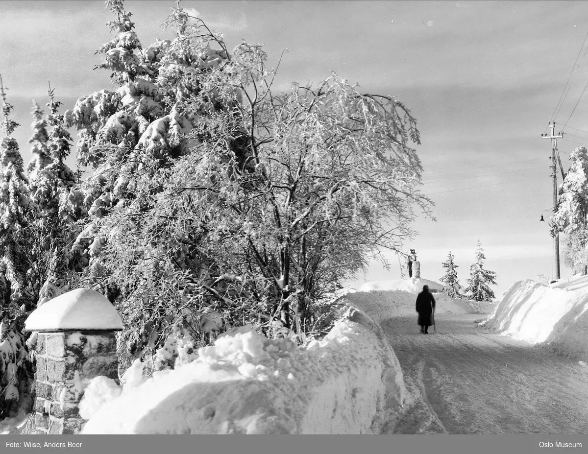vei, trær, snø, kvinne, portrettstatue