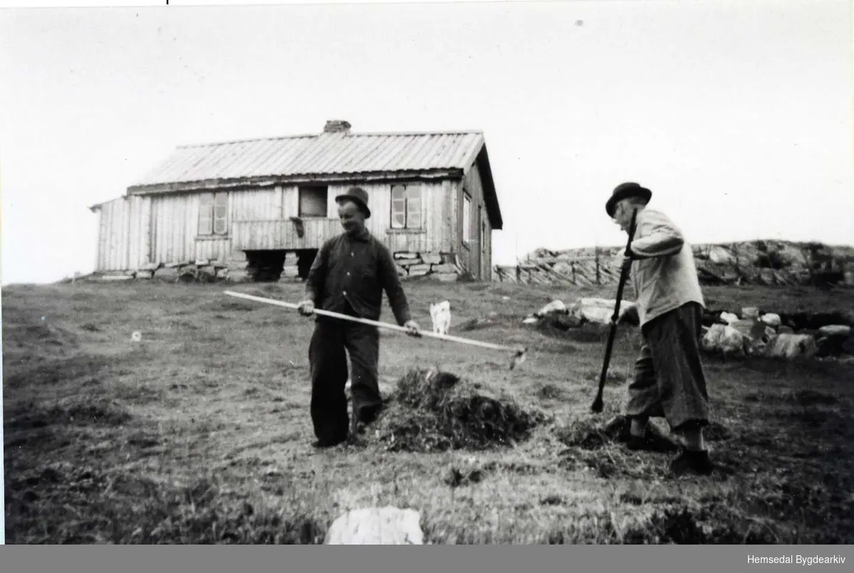 Slåttonn på Eikrestølane i Hemsedal kring 1956.
Frå venstre: Herbrand N. Eikre og Embrik Eikre