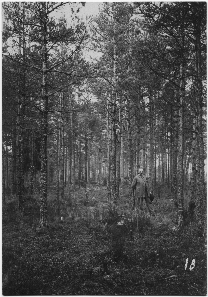 Skogskyrkogården
Man i skog