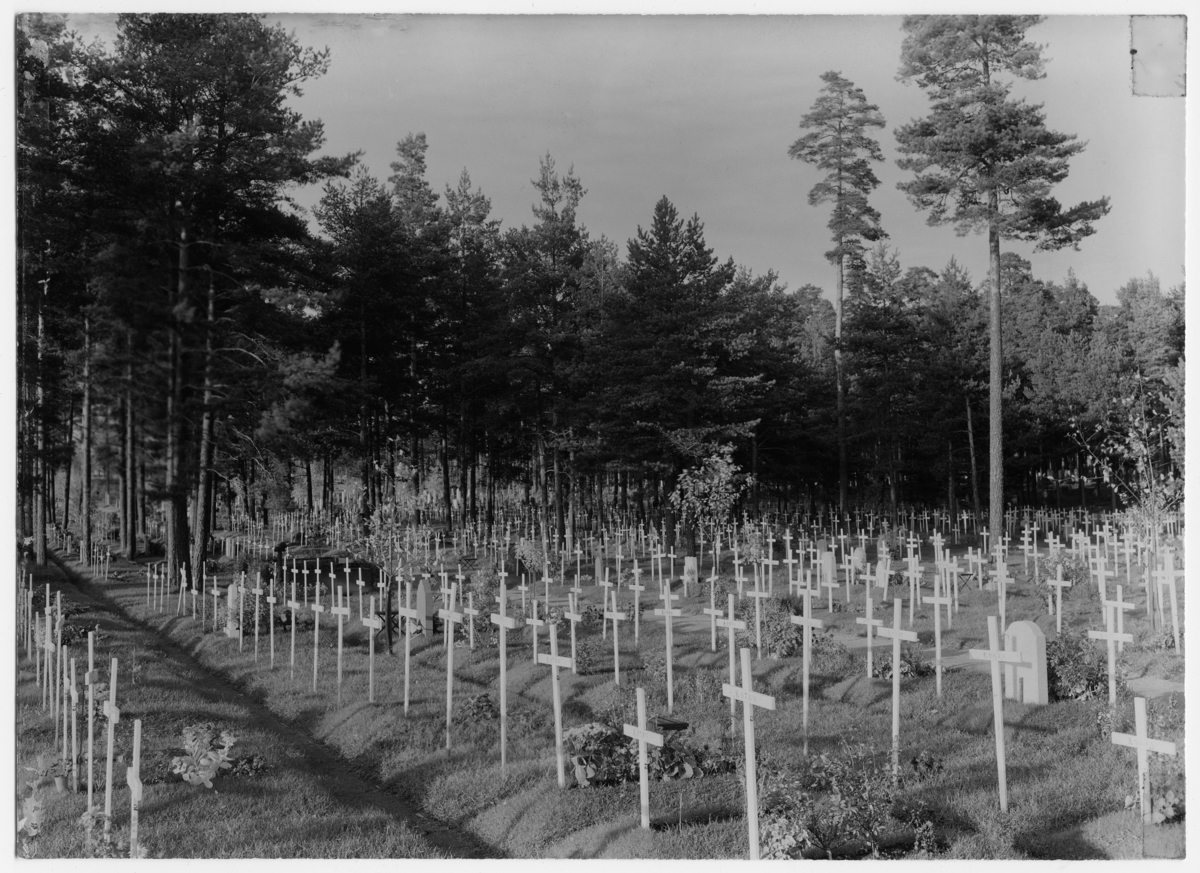 Skogskyrkogården
Gravar omgivna av tallar