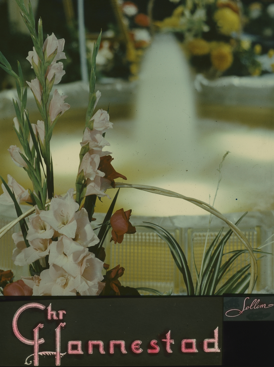 Kinoreklame fra 1950-1960-årene med Chr. Hannestad sin logo, blomsteroppsats med gladioler og roser, og springvann i bakgrunnen.