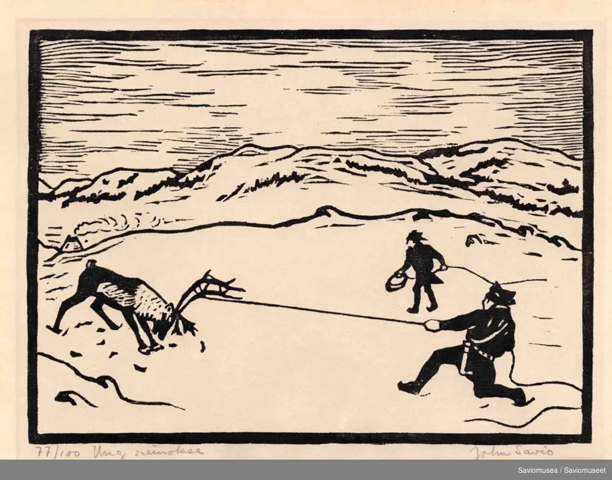 To koftekledde menn til høyre i bildet og en reinokse til venstre. Den ene mannen har fanget reinen med lasso. Landskap, fjell og himmel i bakgrunnen.