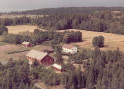 våningshus, uthus, trær,haver,jorder,