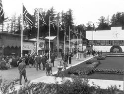 utstilling, Østfoldutstillingen, eksteriør, publikum, flagg,