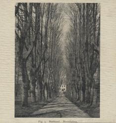 alle', Hafslund, trær, tegning,