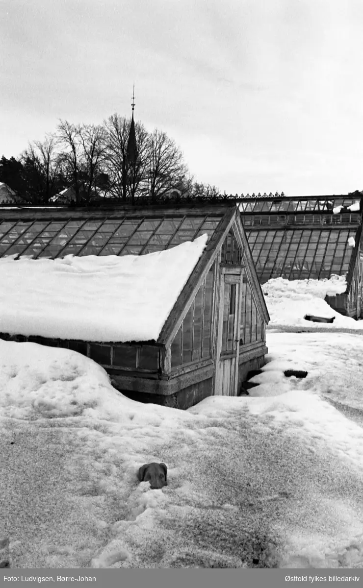 Villa Ekheim, vinter, snø, eksteriør, drivhus, 