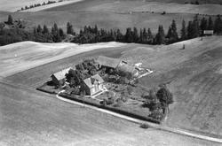 Skaug gård  i Skiptvet, flyfoto 17. august 1949.