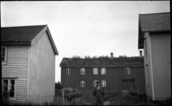 Mannsportrett i eit gardstun