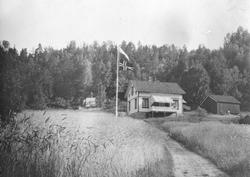 Østvang under Frøvik gård, 1910.