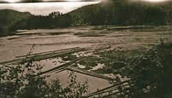 Tømmer i elv, hus i bakgrunnen
Tinnelva i Gransherad.