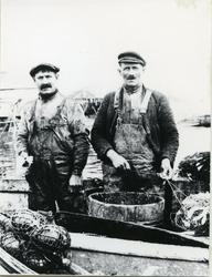 Sør - Gjæslingan, Adolf Haug og Andreas Engvik - Lineegning