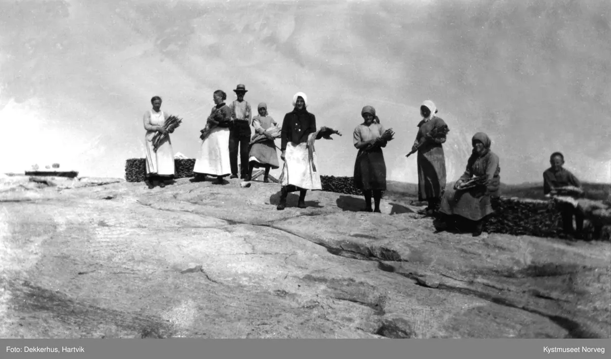 "Klippfiskberget" ved Bergsnov på Vikna