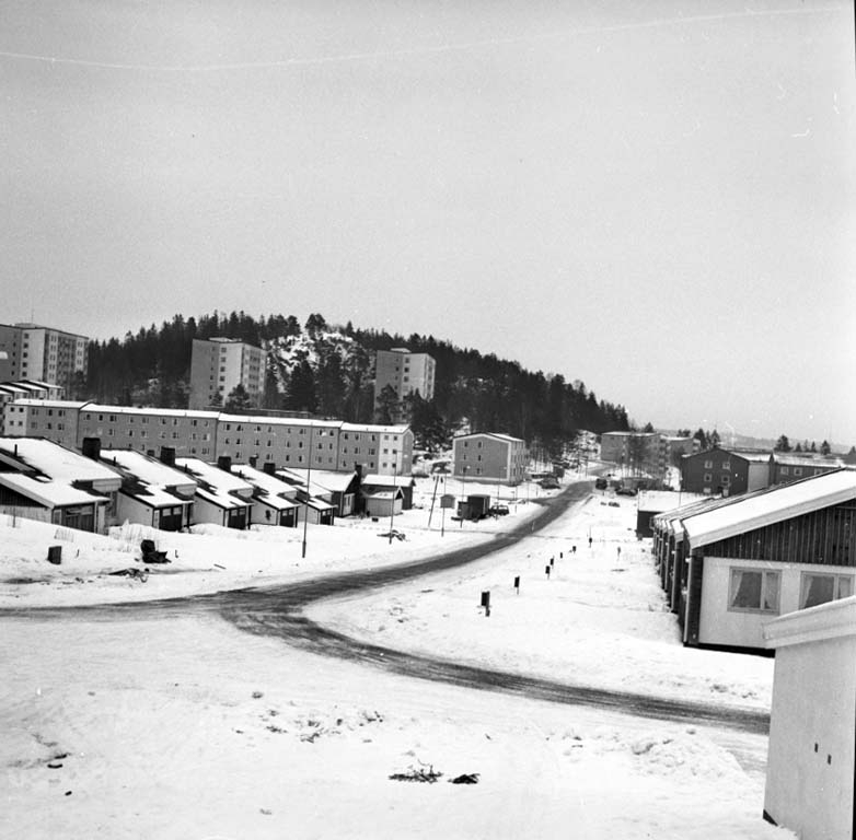 Enligt notering: "Tureborgsområdet - Skogslyckan 29/2 1960".