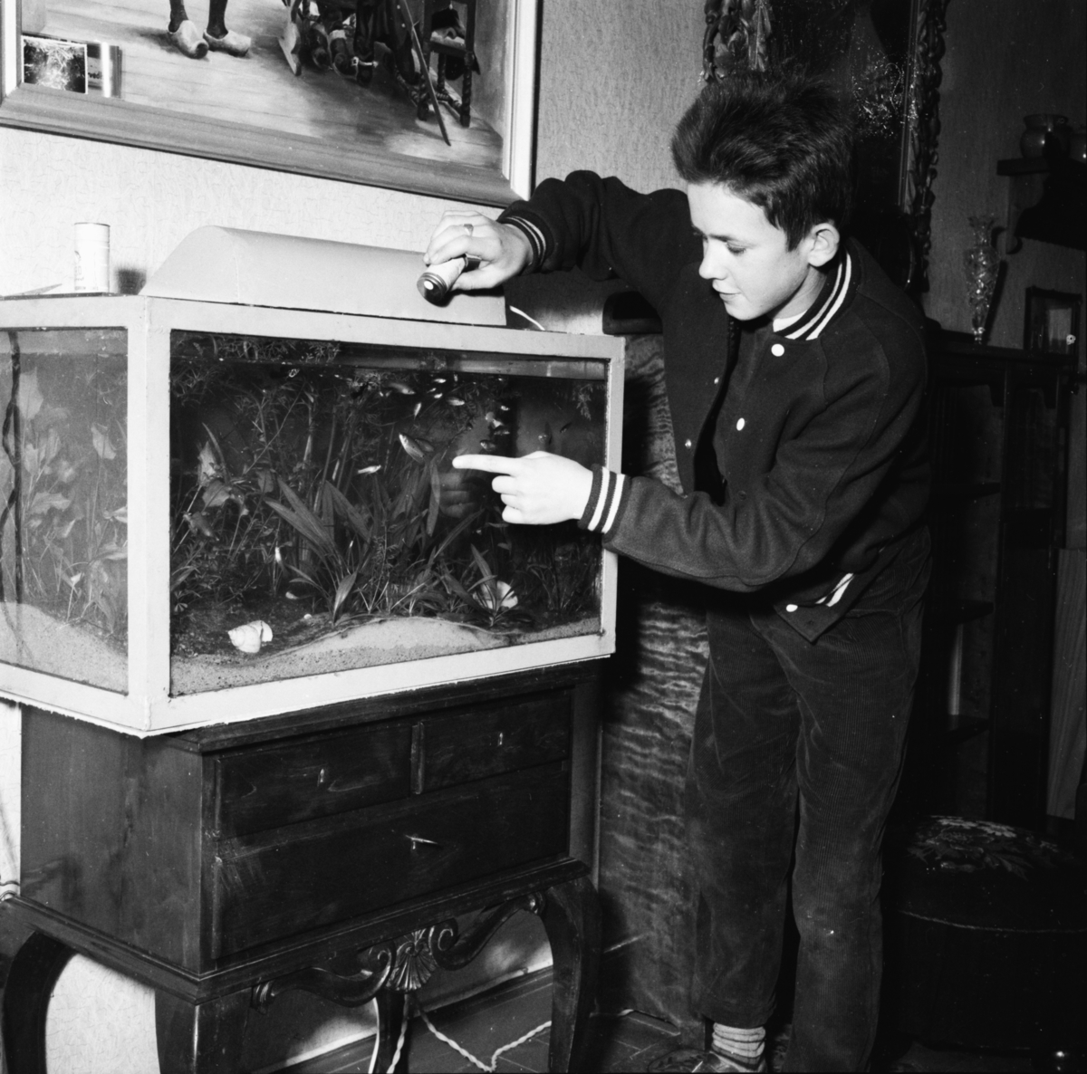 Vardens arkiv. "Akvarium" 25.08.1953