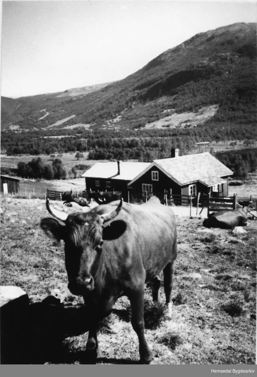 Stølen til Søre Viljugrein, 80/4 på Fagerset i Hemsedal ein gong på 1970-talet.