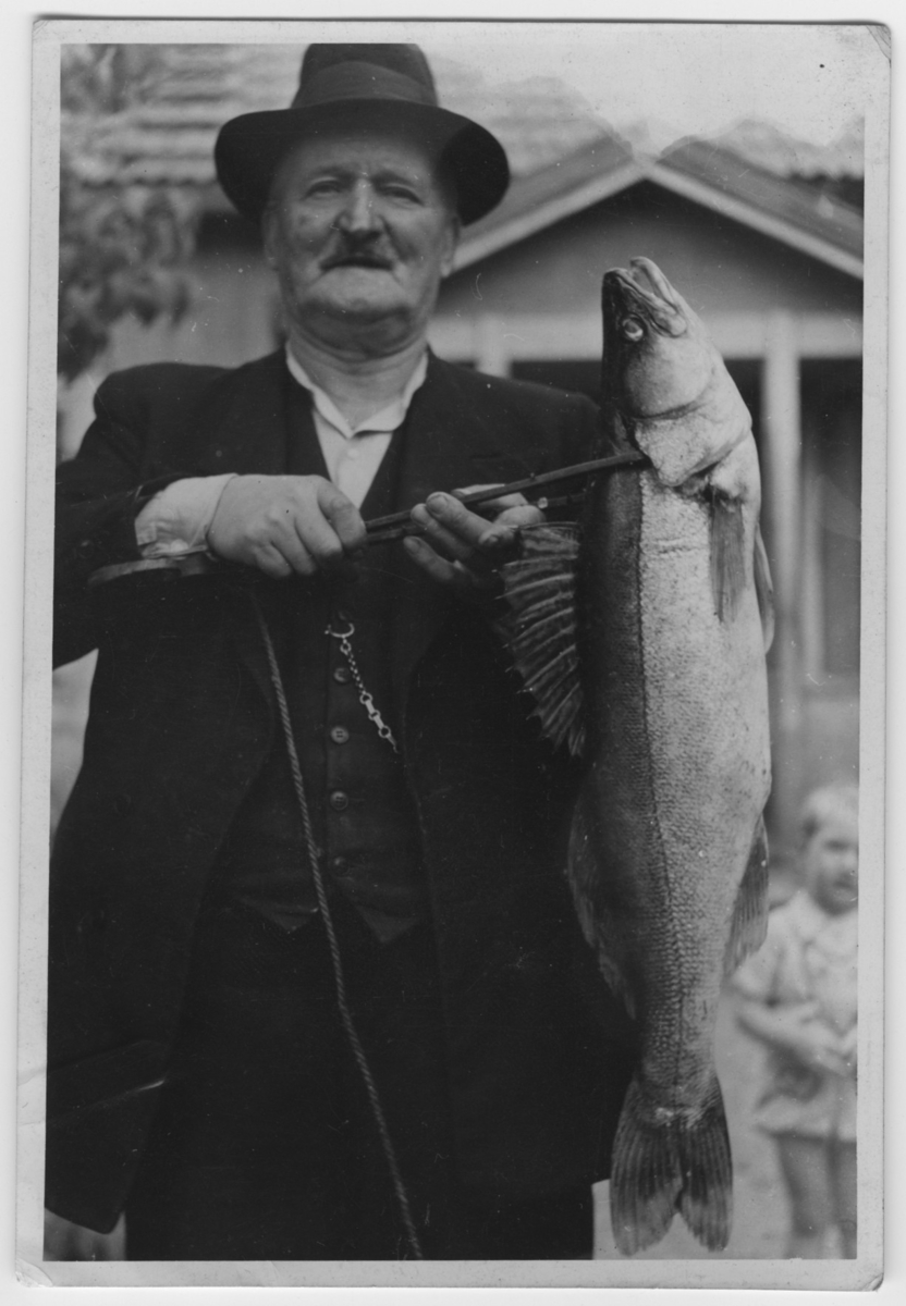 'Gös, på 4,2 kg, fångad i sjön Hären. 1 hattklädd man håller upp fisken. I bakgrunden ett hus. ::  :: Se även fotonr. 4573:2.'