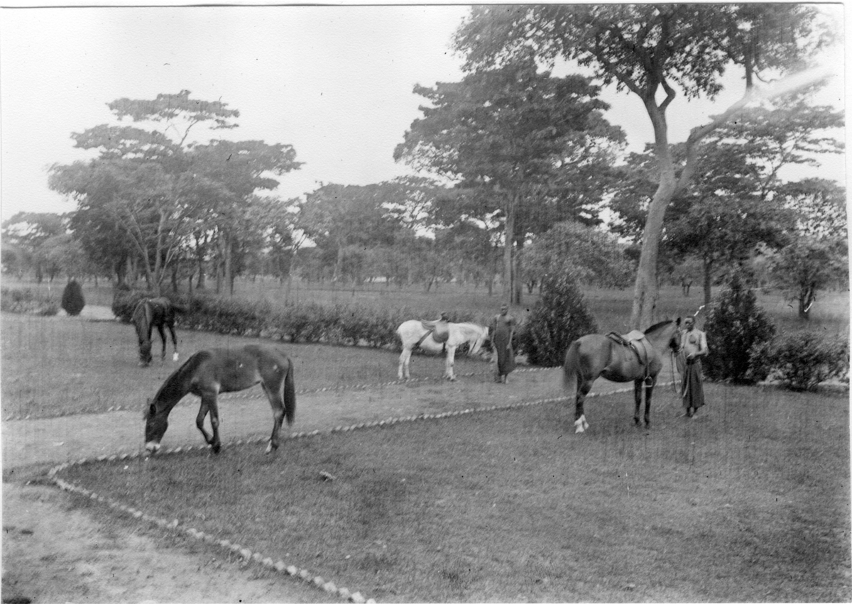'Diverse fotografier från bl.a. dåvarande Nordrhodesia, nu Zambia, tagna av Konsul Magnus Leijer. ::  :: 2 st män invid varsin sadlad häst. Ytterligare 2 hästar betar  omkring dem. Även grusgång, gräsmatta och träd är synliga.'