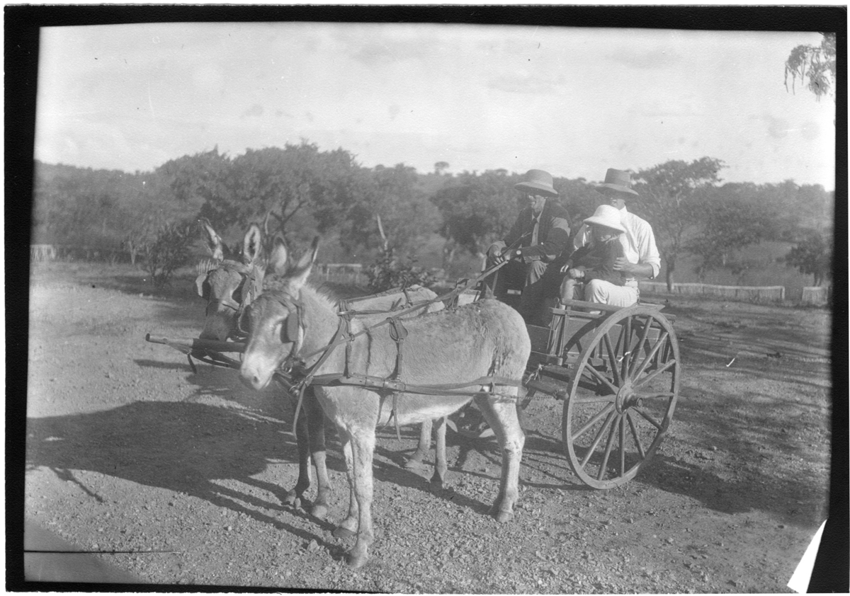 'Diverse fotografier från bl.a. dåvarande Nordrhodesia, nu Zambia, tagna av Konsul Magnus Leijer. ::  :: 2 män, en med en flicka i knäet, sitter i en vagn dragen av 2 åsnor, i bakgrunden är träd synliga.'