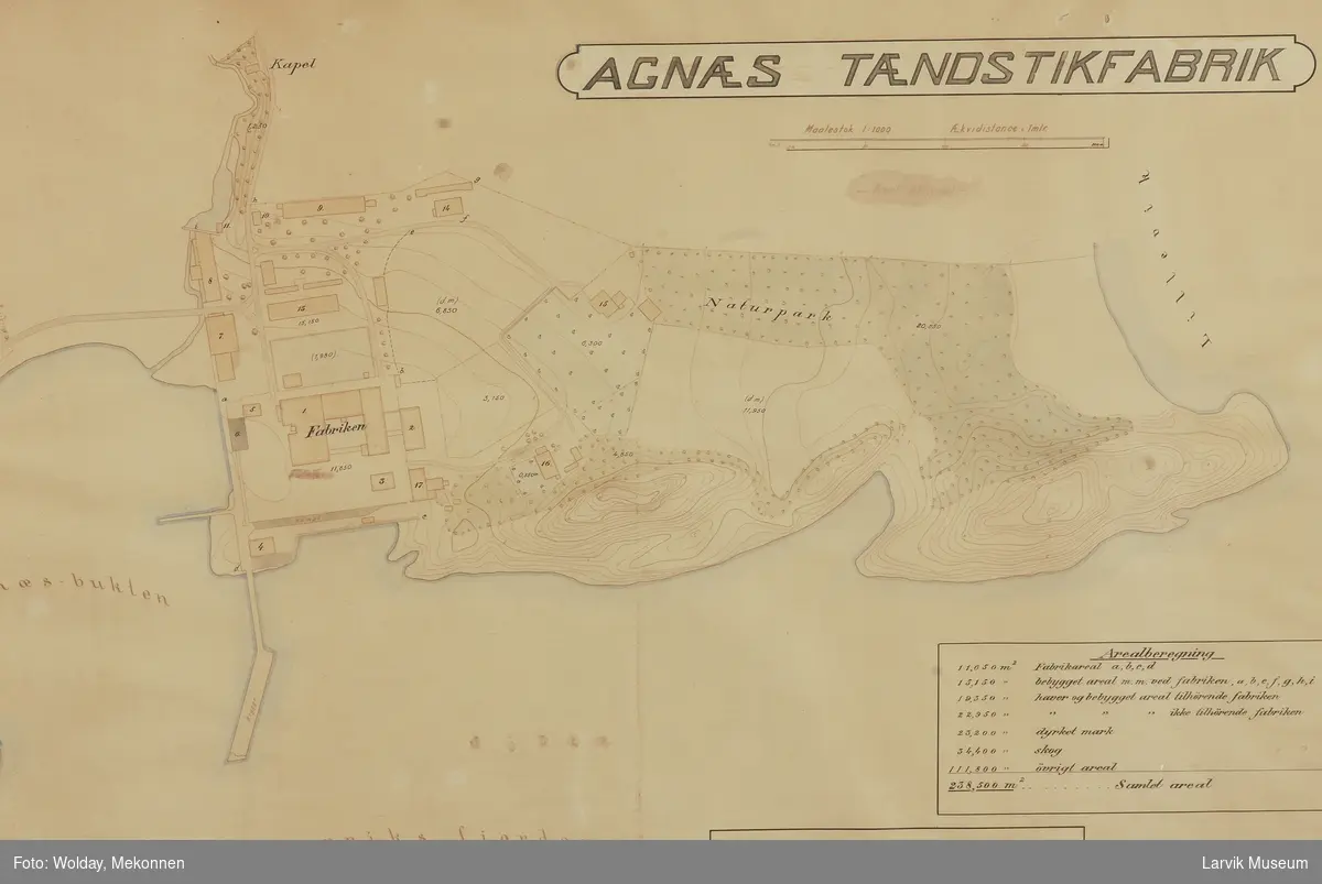 Kart over Agnes området og fjorden.