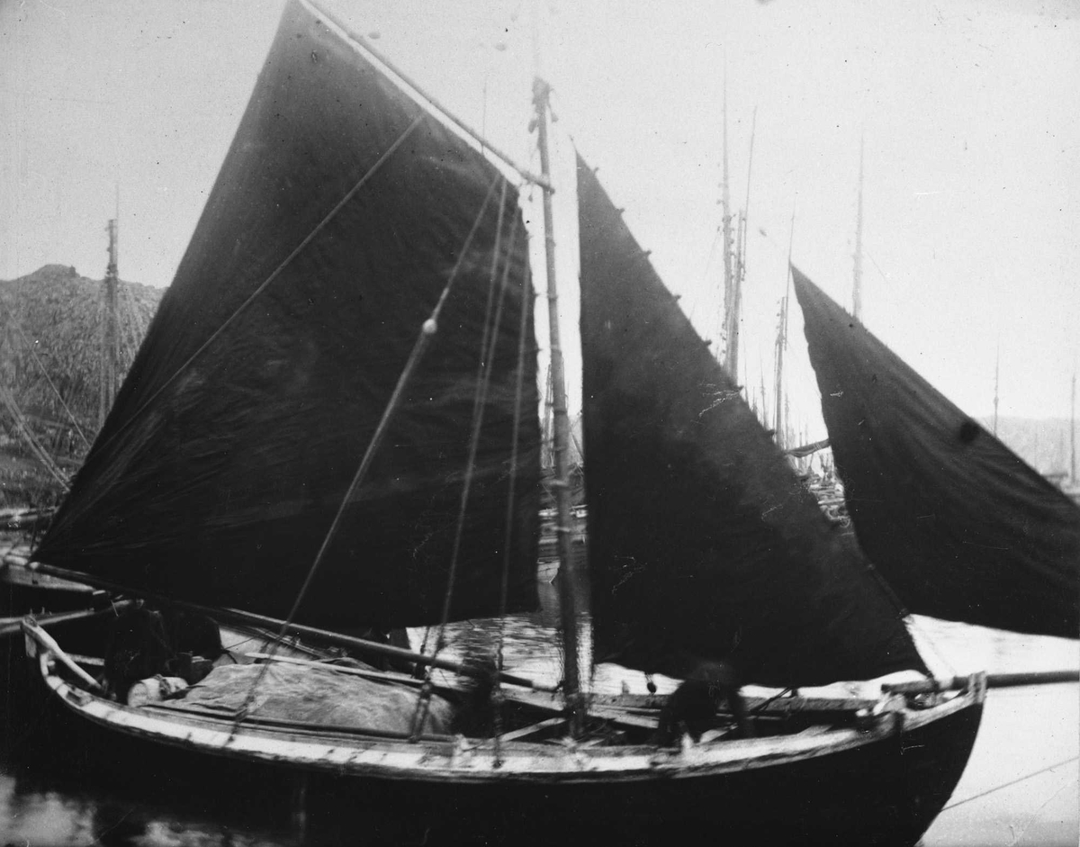 Spissgavla notbåt med gaffelsegl, fokke og klyver. Fiskebåttyper ved vårsildfisket i 1893.