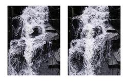 The Seventh Wave - Flora [Fargefotografi]