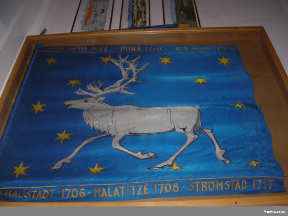 På blå duk landskapet Västerbottens vapenbild: en springande vit ren omgiven av sexton sexuddiga gula stjärnor. I övre och undre långsidan bårder med regementets segernamn.
Fanan är utfört i mycket högkvalitativt broderi.