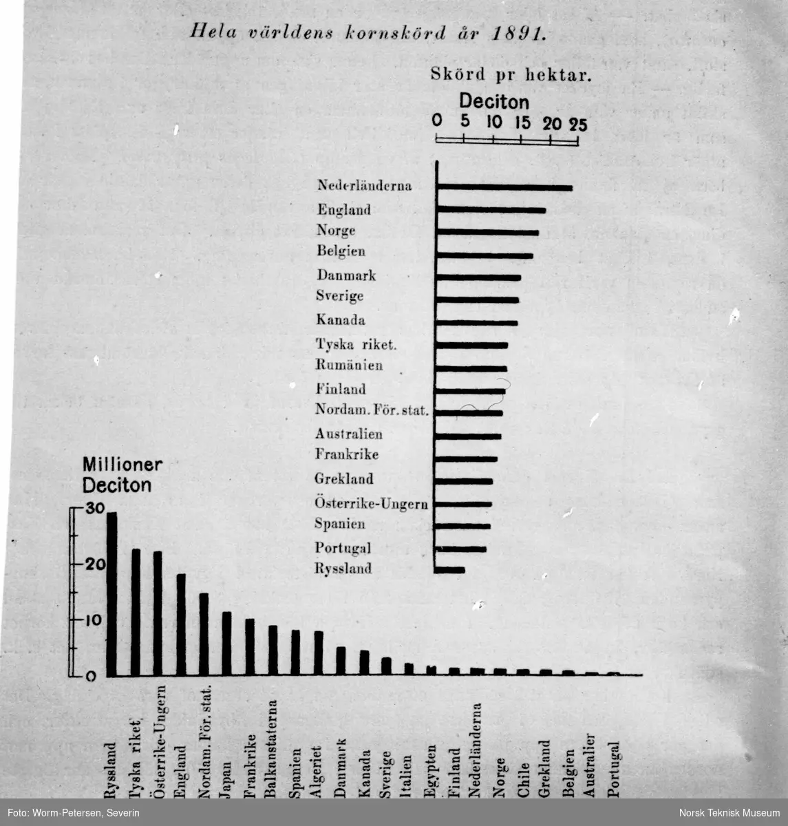 Tabell, verdens kornproduksjon i 1891.