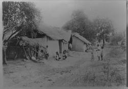 Madagascar (Hermbeck o.a.) m. Tu...