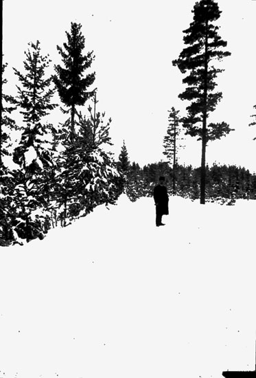 Vinterbild, snöhöljda granar, en man på vägen.