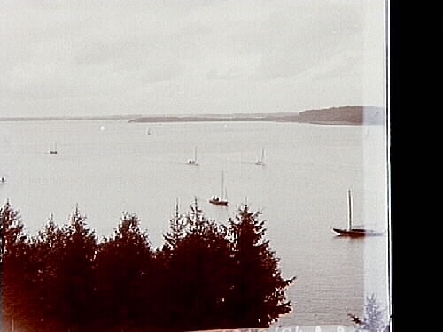 Utsikt från Hjälmarbaden över Hemfjärden med sju segelbåtar.
Segelsällskapet Hjälmaren (SSH)
Ässön i bakgrunden.
Stereofotografi.