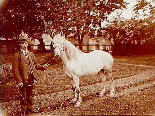 Man med häst.
Gustaf Andersson