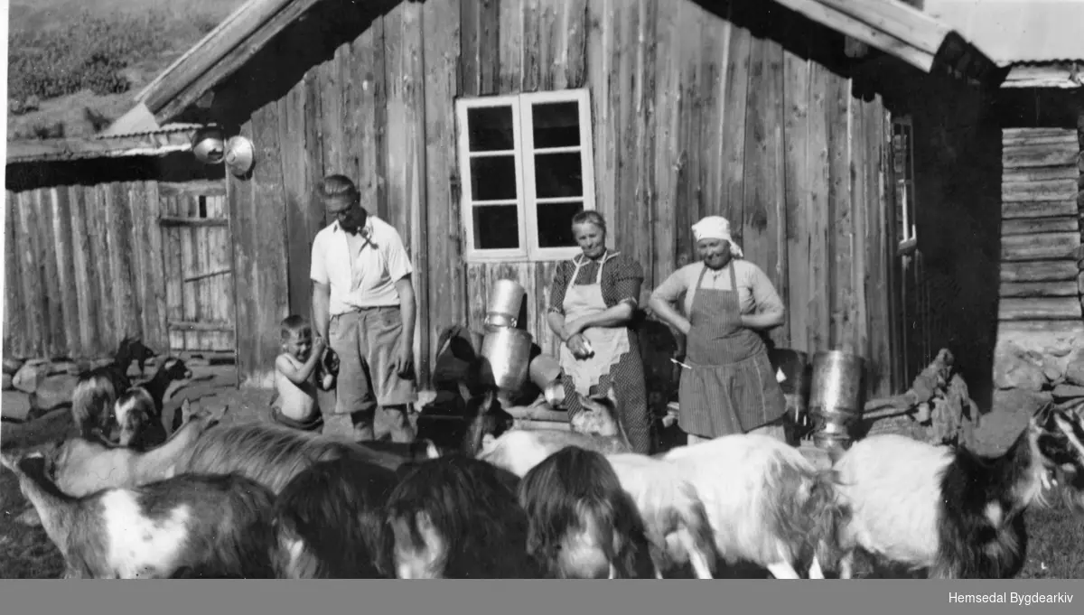 Frå høgre: Kari Brandvoll (1894-1976) og Sigrid Haugen (1891-1958) på stølen på Heggeslettene i Hemsedal ein gong i tidsromet 1940-1945.