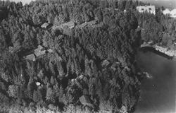 Flyfoto av museumsområdet ved Sunnmøre Museum fra 1954.