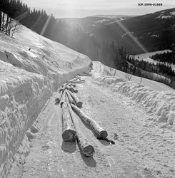 Hankekjøring av tømmer i Vestre Gausdal vinteren 1967.  Tømm