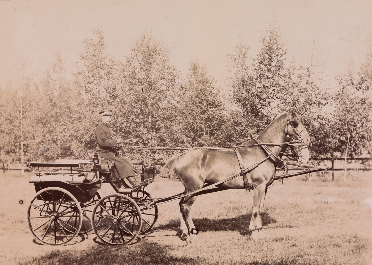 Kusk med to hester foran en lett vogn, trolig en slags Wagonette, stilt mot høyre.