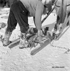 Stutting klargjøres for retur til tømmerlunna høyere oppe i 