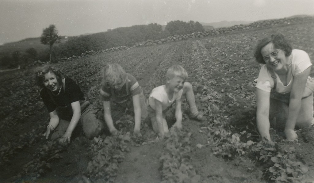 Roetynning på Fosse, frå venstre ei jente frå Askøy , Kari Fosse (1940 - ), Steinar Fosse (1946 - ),  og Sofie Marie f. (1915 - 2004)