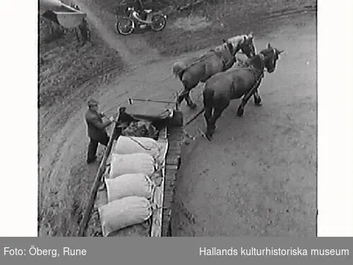 Bönderna i Ölmevallla och Fjärås brukade mala sitt mjöl i Torpa kvarn. Kvarnen var särskilt bra eftersom man kunde få tre sorters mjöl: sikt, toppmalet, sammalet.