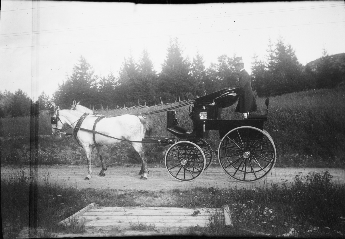 Drottning Victorias bilder. Ett ekipage, häst och vagn med körkarl.