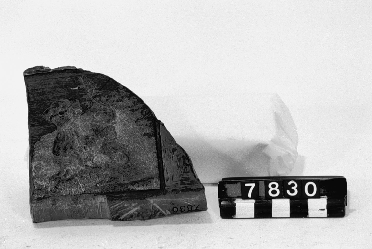 Kliché i trä, skuren med sticklarna TM 7.829  samt 5 st. avdrag (tagna för Tekniska Museet 1931). Tjocklek: 22 mm.