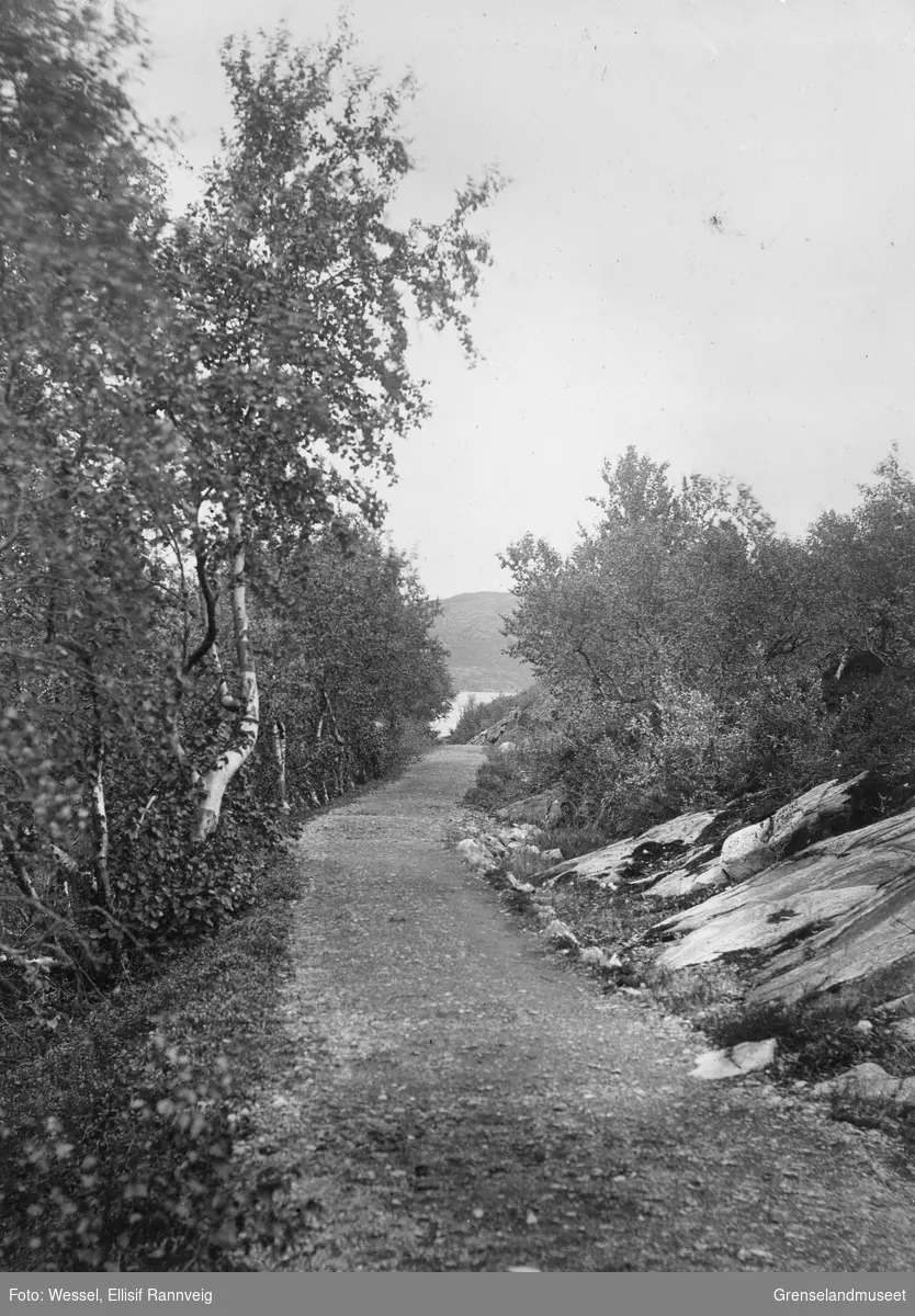 Veien til Soldatbukta, Kirkenes.