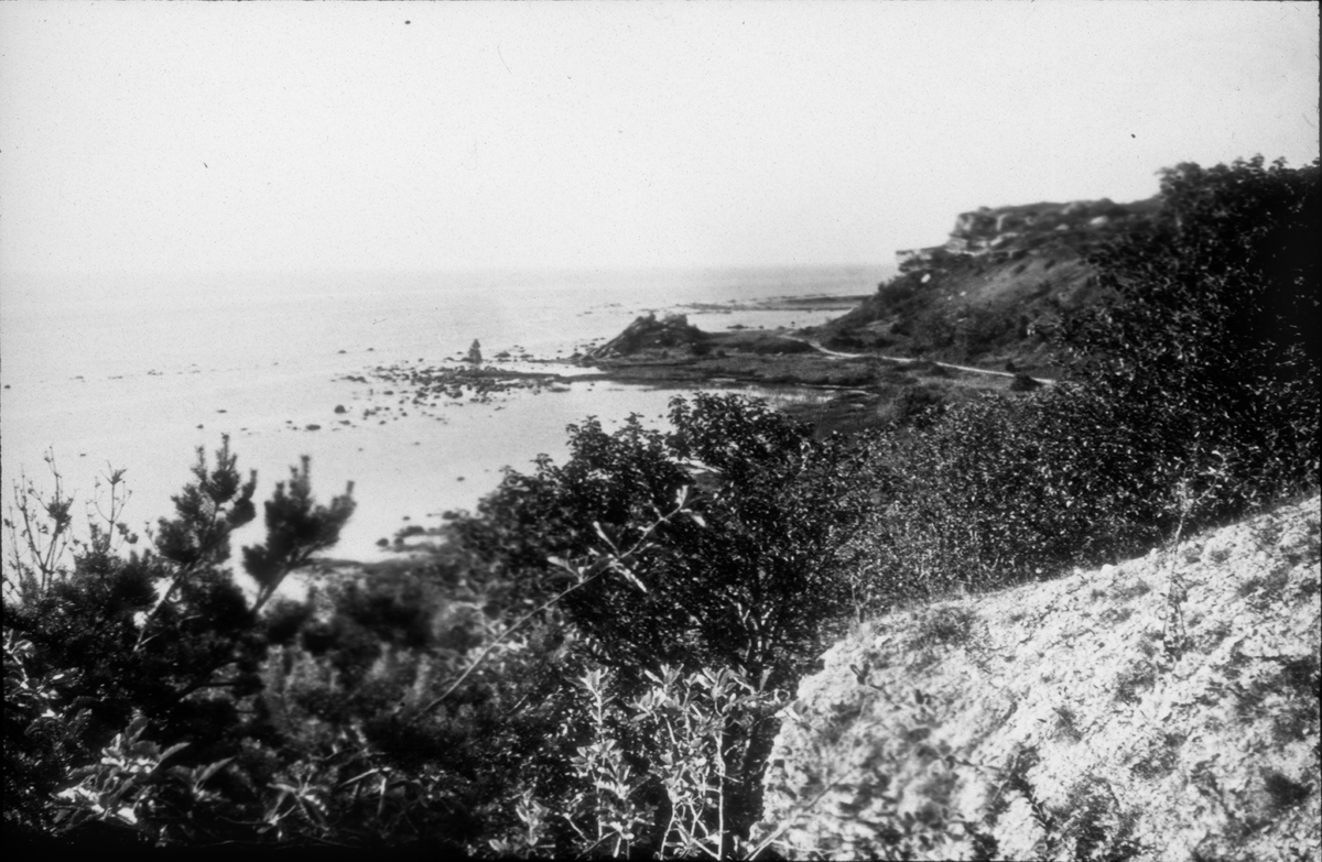 Ljusbild, fotografi från Nordiska arkitekturmötet på Gotland 1920. Vy över strand och hav.